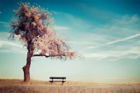 ​关于悲伤的语句119句