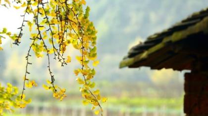 合适微信发朋友圈激励减肥的励志句子