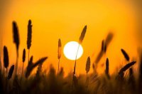 ​抖音上很火的励志句子 抖音里励志霸气的句子