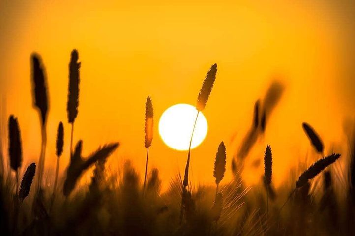 抖音上很火的励志句子 抖音里励志霸气的句子