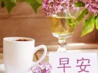 ​适合减肥早安励志语录 适合减肥发圈的句子