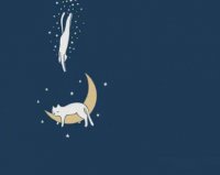 ​一句关于自信的励志话语精选35句