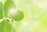 ​生病孤独难熬的伤感说说，很无助失望的句子