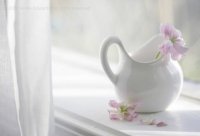 ​科比的经典语录励志[24句]