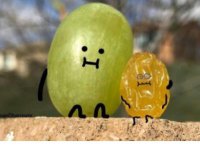 ​你是我不能言说的伤gl(25句)