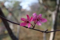 ​蜘蛛织网的励志句子(蜘蛛勤织网，总有飞来虫，一份耕耘，一份收获)