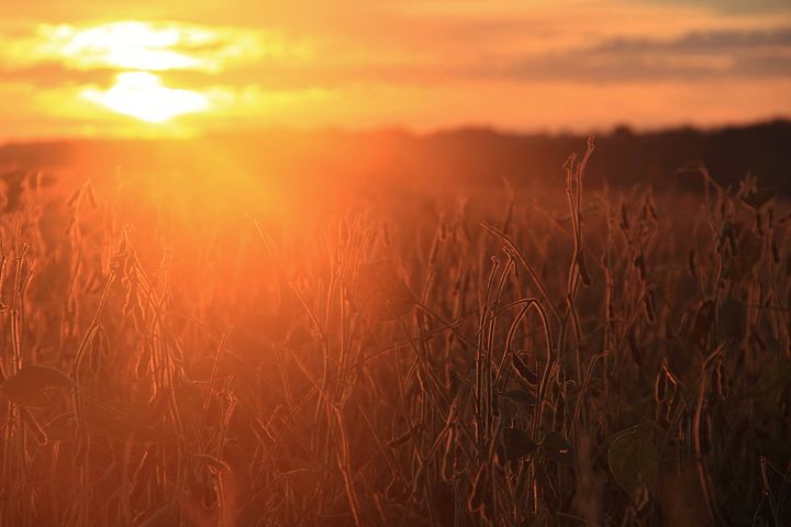 经典励志鸡汤句子 心灵鸡汤学生励志句子