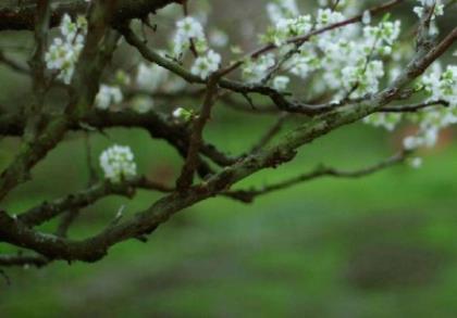 爱情吵架伤感说说心情短语