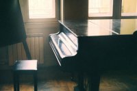 ​竹子扎根的励志句子(27句)