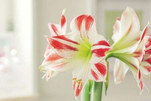 销售正能量励志句子