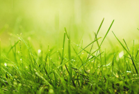 ​高三冲刺100天的鼓励短句 精选20句加油鼓励寄语