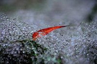 ​关于面对困境的优美励志语段