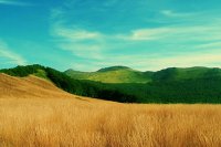 ​唯美伤感的句子摘抄98句