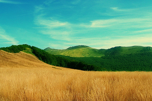 唯美伤感的句子摘抄98句