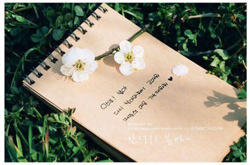 乐观面对人生坎坷的励志句子