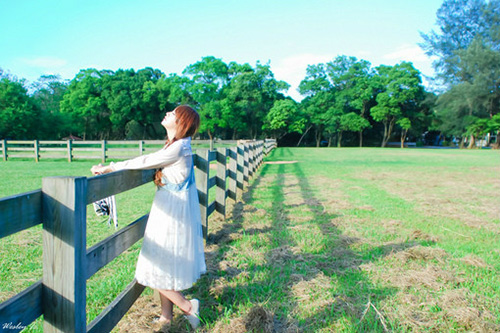 减肥人士专用励志语录 减肥的说说励志的话(精选76句)