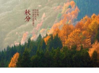 2025年总结祝福语