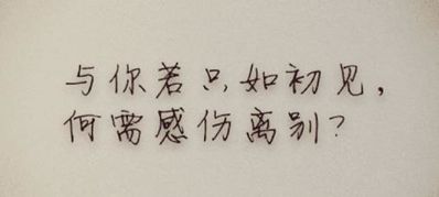 表示想挽回的句子 挽回爱情伤感句子