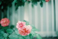 ​2025年心情签名121句