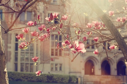 事业励志句子89句