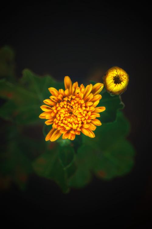 qq个性签名大全霸气