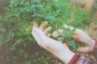 ​励志感悟句子45条