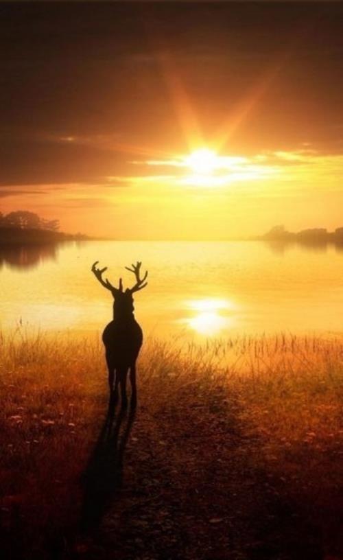 简短高考励志霸气句子