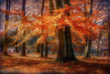 学习励志句子摘抄