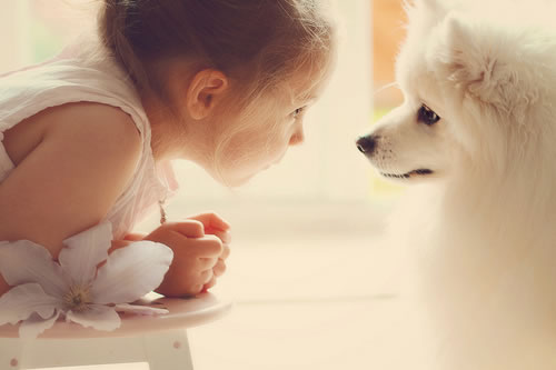 带有念字的女孩名字