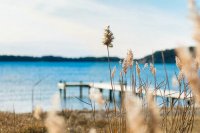 ​2025年端午节句子说说2025年端午节是几月几号(精选50句)