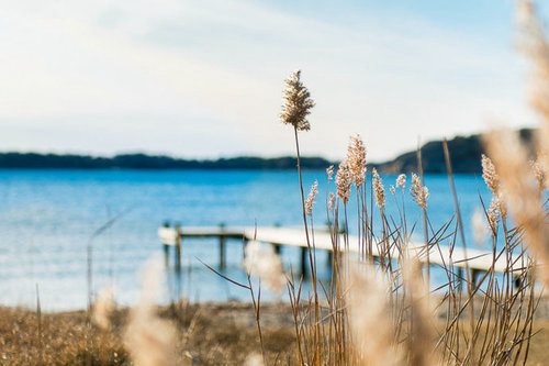 2025年端午节句子说说 2025年端午节是几月几号(精选50句)