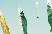 ​2025年经典感悟人生说说120句