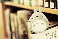 ​2025年结婚最经典的祝福语大全57句