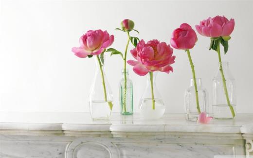 冬至祝福语简短幽默