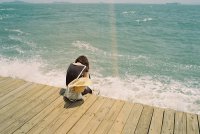 ​2025年适合发朋友圈的唯美古风句子(70句)