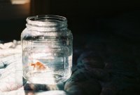 ​搞笑短信2025年65句