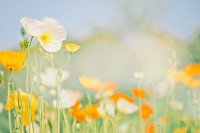 ​2025年特别忧伤的说说2025年唯美伤感说说短句(精选79句)