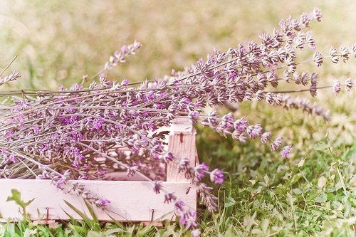 2025年qq空间伤感说说98句