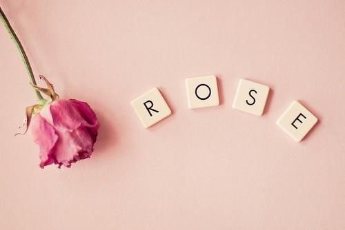 2025年套路喜欢表白