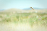 ​2025年送小朋友什么祝福语47句