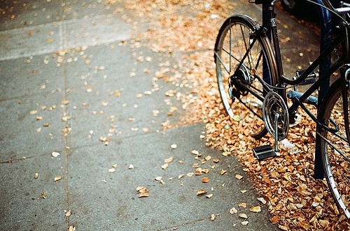 小学开学励志经典语录2025年大全(精选75句)