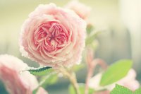 ​2025年qq说说伤感81句