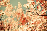 ​2025年经典感情句子81句