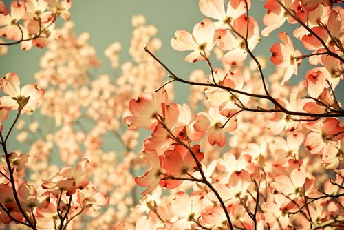 2025年经典感情句子81句