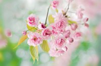 ​2025年悲伤爱情句子82句