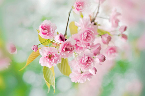 2025年悲伤爱情句子82句