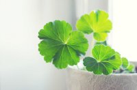 ​2025年qq心情短语82句