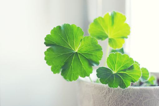 2025年qq心情短语82句