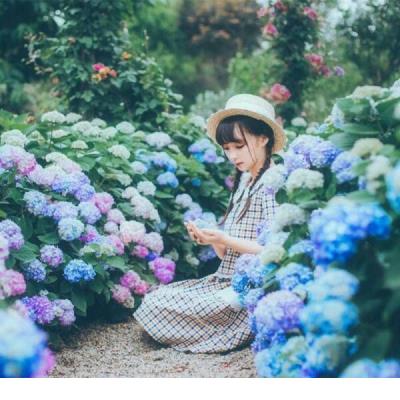 关于2025年元宵节的祝福语