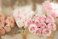 ​2025年伤感经典语录75句